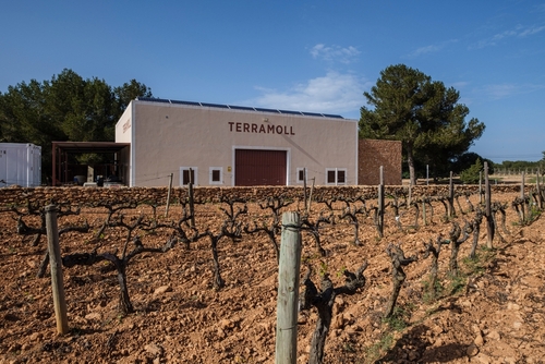 La cultura del vino en Formentera